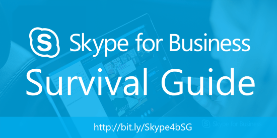 Skype4BSG500